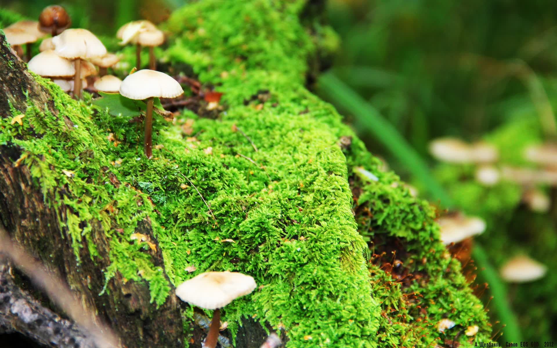 世界游艇青年赛赛事志愿者招新活动全面展开,游艇锦标赛